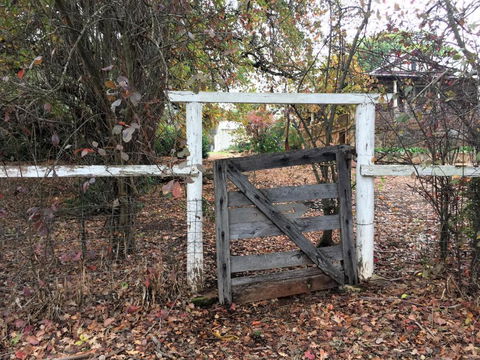 Historic Oak Hill House Estate Truffle Gourmet Festival Region - Whitsundays Accommodation 2