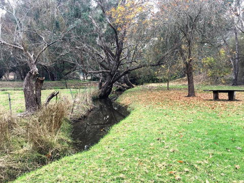 Historic Oak Hill House Estate Truffle Gourmet Festival Region - Whitsundays Accommodation 1