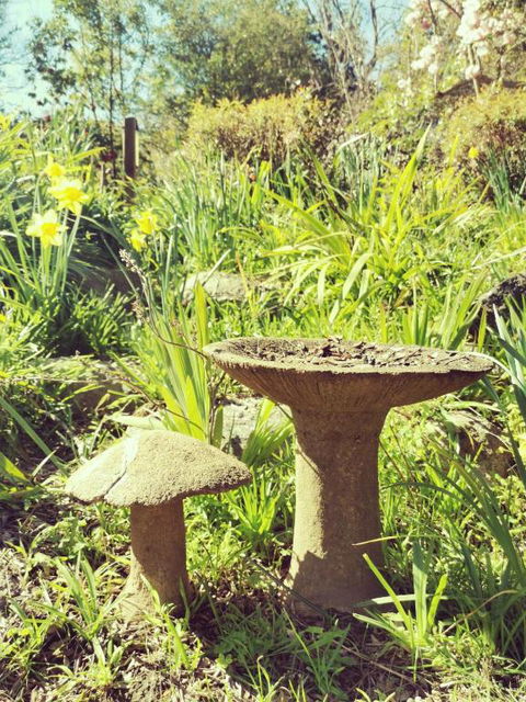 Lake House Benalla - Whitsundays Accommodation 6