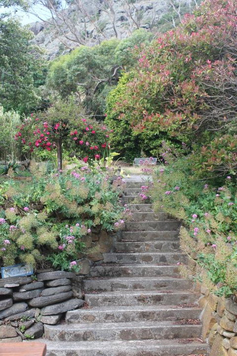 Gardenia House - Whitsundays Accommodation 2