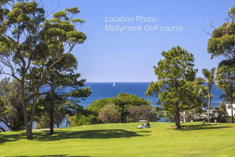 Mollymooks Tee To Sea 19 Buchan Street - Whitsundays Accommodation 2