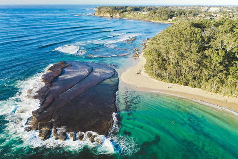 Mollymooks Tee To Sea 19 Buchan Street - Whitsundays Accommodation 1
