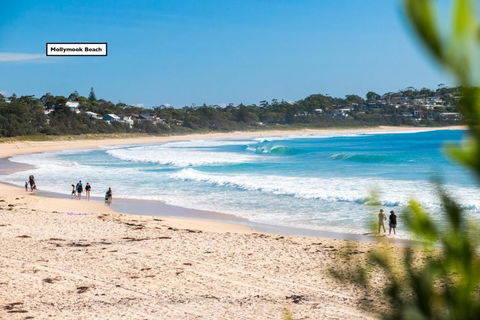 Relaxed Homely Retreat 57 Carroll Ave - Whitsundays Accommodation 4