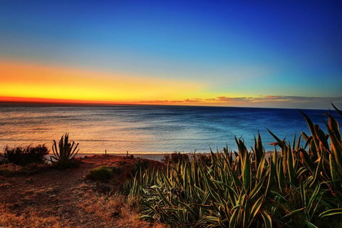 Palms On The Esplanade Sellicks Beach WiFi - Whitsundays Accommodation 4
