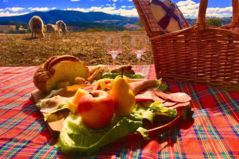 Country Budget - Whitsundays Accommodation 3
