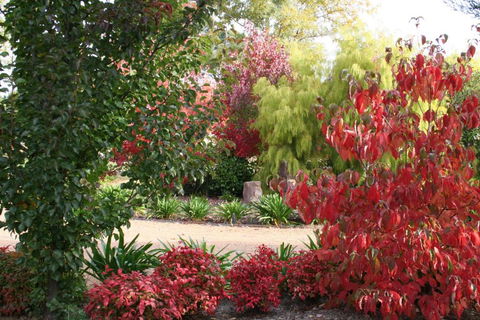 Delderfield Cottages - Whitsundays Accommodation 4