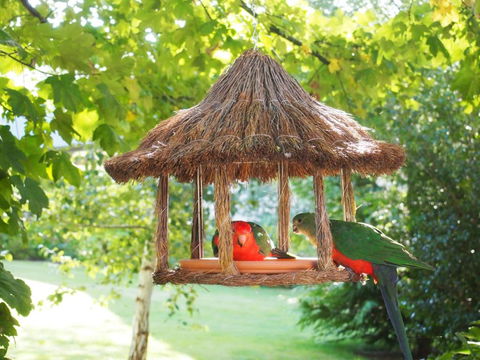 Delderfield Cottages - Whitsundays Accommodation 2