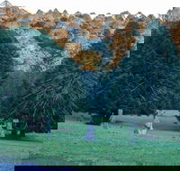 Escape to the Country - Enjoy the Firepit or Explore Magical Bunya Mountains - Whitsundays Accommodation