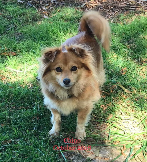 Acacia Hills Retreat - Whitsundays Accommodation 4