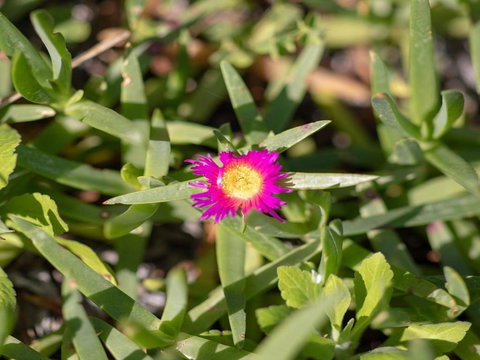 Antonios Paradise Spectacular Views Over Warrain Beach - Whitsundays Accommodation 5