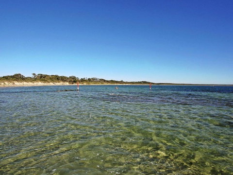 Seahorse Beach Just 550m From House - Whitsundays Accommodation 1