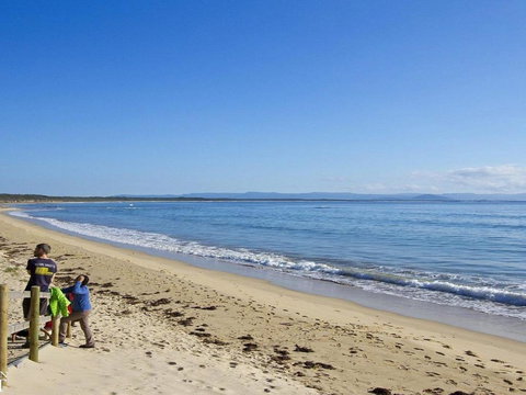 Seahorse Beach Just 550m From House - Whitsundays Accommodation 3