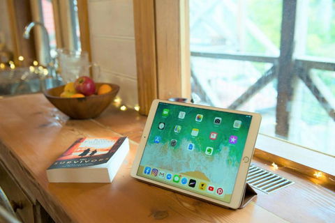 Adelaide Hills Camellia Cottage WiFi - Whitsundays Accommodation 4