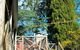 Adelaide Hills Camellia Cottage WiFi - thumb 2