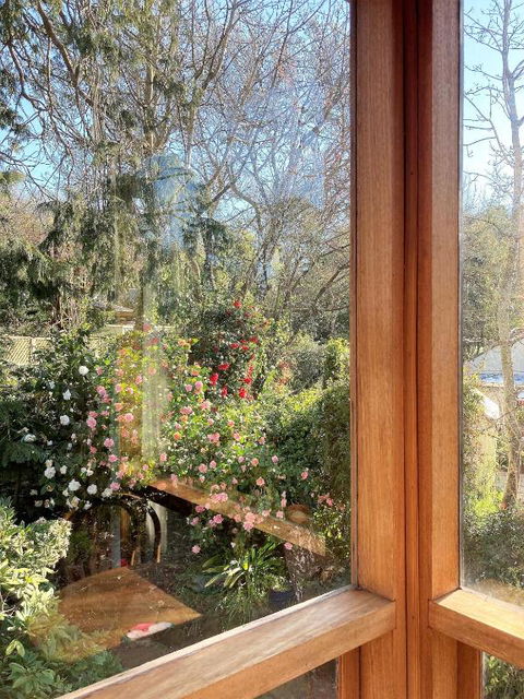 Adelaide Hills Camellia Cottage WiFi - Whitsundays Accommodation 6
