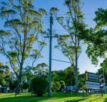 Dorrigo Mountain Holiday Park - Whitsundays Accommodation