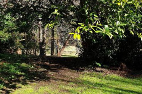 Redruth 2 Bedroom Cottage Situated In Wandiligong - Whitsundays Accommodation 4