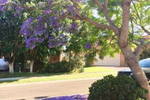 ULTRA SPACIOUS STYLISH HOME In PRESTONS SYDNEY - Whitsundays Accommodation 7