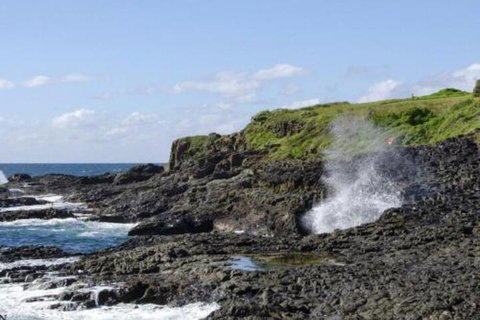 Seaview On Boanyo Ocean Views & Close To Beach - Whitsundays Accommodation 5