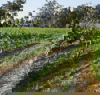 Renovated Cottage Aberdare Hunter Valley - Whitsundays Accommodation