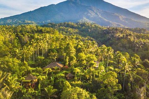 Ibis Wollongong - Whitsundays Accommodation 1