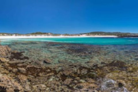 Hanson Bay Wildlife Sanctuary And Cabins - Whitsundays Accommodation 0