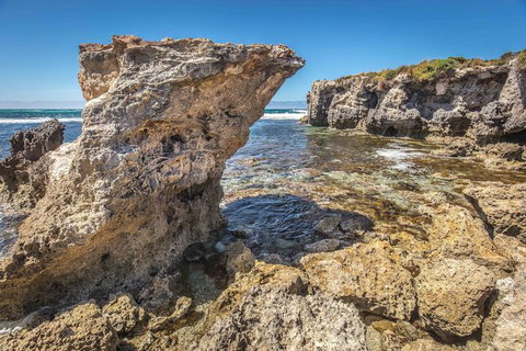 Hanson Bay Wildlife Sanctuary And Cabins - Whitsundays Accommodation 2