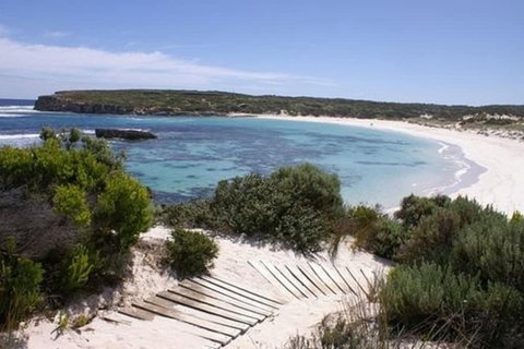 Hanson Bay Wildlife Sanctuary And Cabins - Whitsundays Accommodation 1