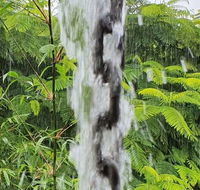 Driftwood Villa - Whitsundays Accommodation