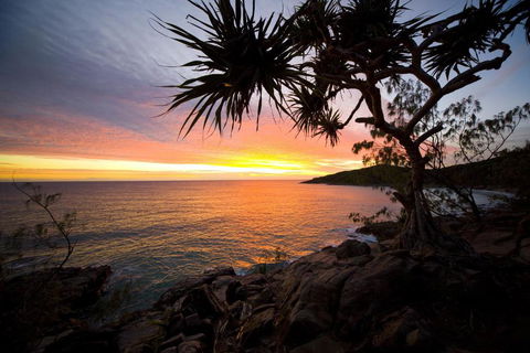 Low Tide On Noosa Sound Pet Friendly - Whitsundays Accommodation 4