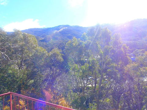 Retro 2 Bedroom & 2 Loft Apartment - Whitsundays Accommodation 2