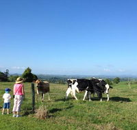 MilaViews - Whitsundays Accommodation