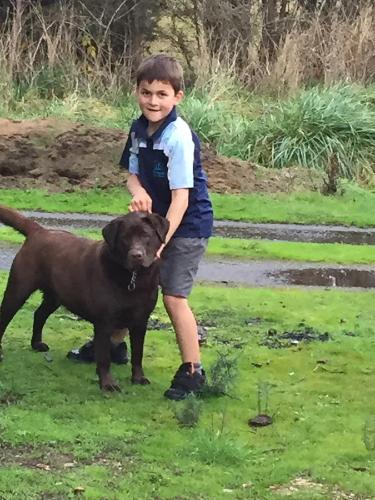 Harlea - Whitsundays Accommodation 6