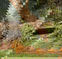 Spencer Cottage - Whitsundays Accommodation