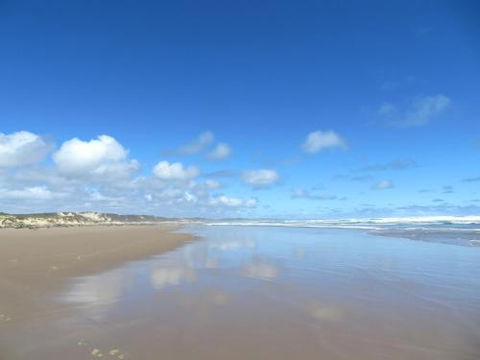 Arthur Riverfront & Sea Lodge Downstream - Whitsundays Accommodation 0