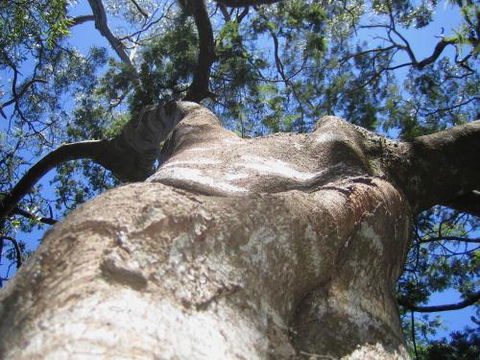 Arthur Riverfront & Sea Lodge Downstream - Whitsundays Accommodation 4