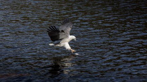 Arthur Riverfront & Sea Lodge Downstream - Whitsundays Accommodation 3