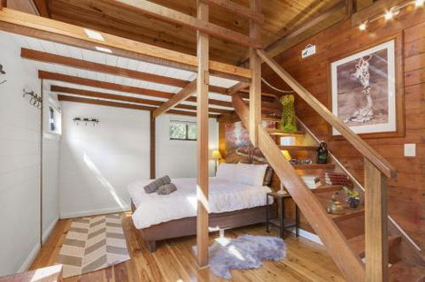BLUE APPLE LODGE - Whitsundays Accommodation 4