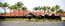 Nuriootpa Vine Inn Hotel Motel Ltd - Whitsundays Accommodation 0