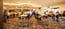 Nuriootpa Vine Inn Hotel Motel Ltd - Whitsundays Accommodation 3