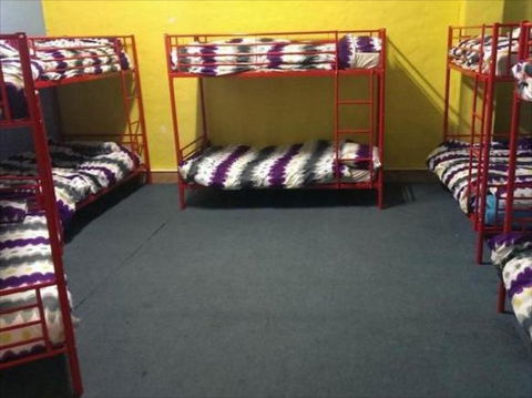 Wombat Backpackers - Whitsundays Accommodation 1