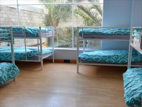 Wombat Backpackers - Whitsundays Accommodation 5