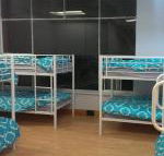 Wombat Backpackers - Whitsundays Accommodation