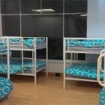Wombat Backpackers - Whitsundays Accommodation 0