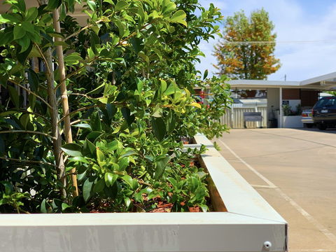 Baths Motel - Whitsundays Accommodation 0