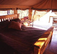 Jabiru Safari Lodge - Whitsundays Accommodation