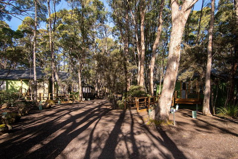 Lake St Clair Lodge - Whitsundays Accommodation 2