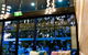 Quest Mascot Serviced Apartments - thumb 2