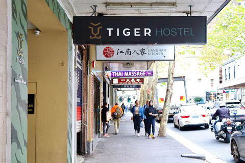 Tiger Hostel Sydney - Whitsundays Accommodation 3