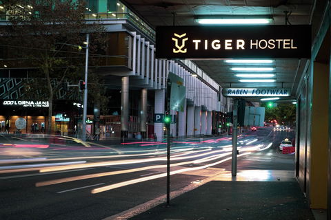 Tiger Hostel Sydney - Whitsundays Accommodation 0